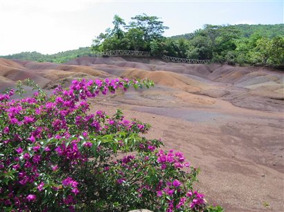 Chamarel 1.jpg